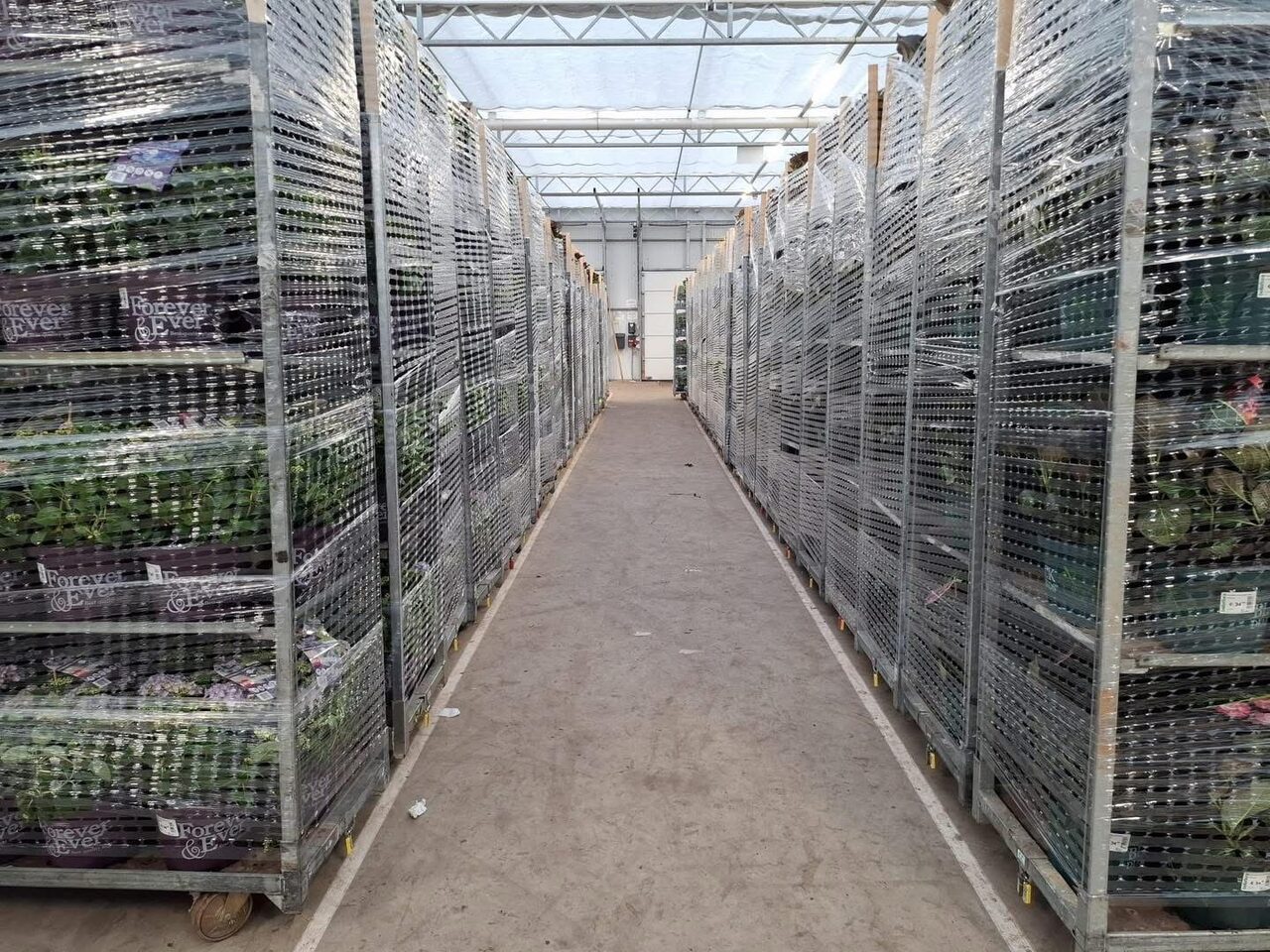 De week voor Pasen!