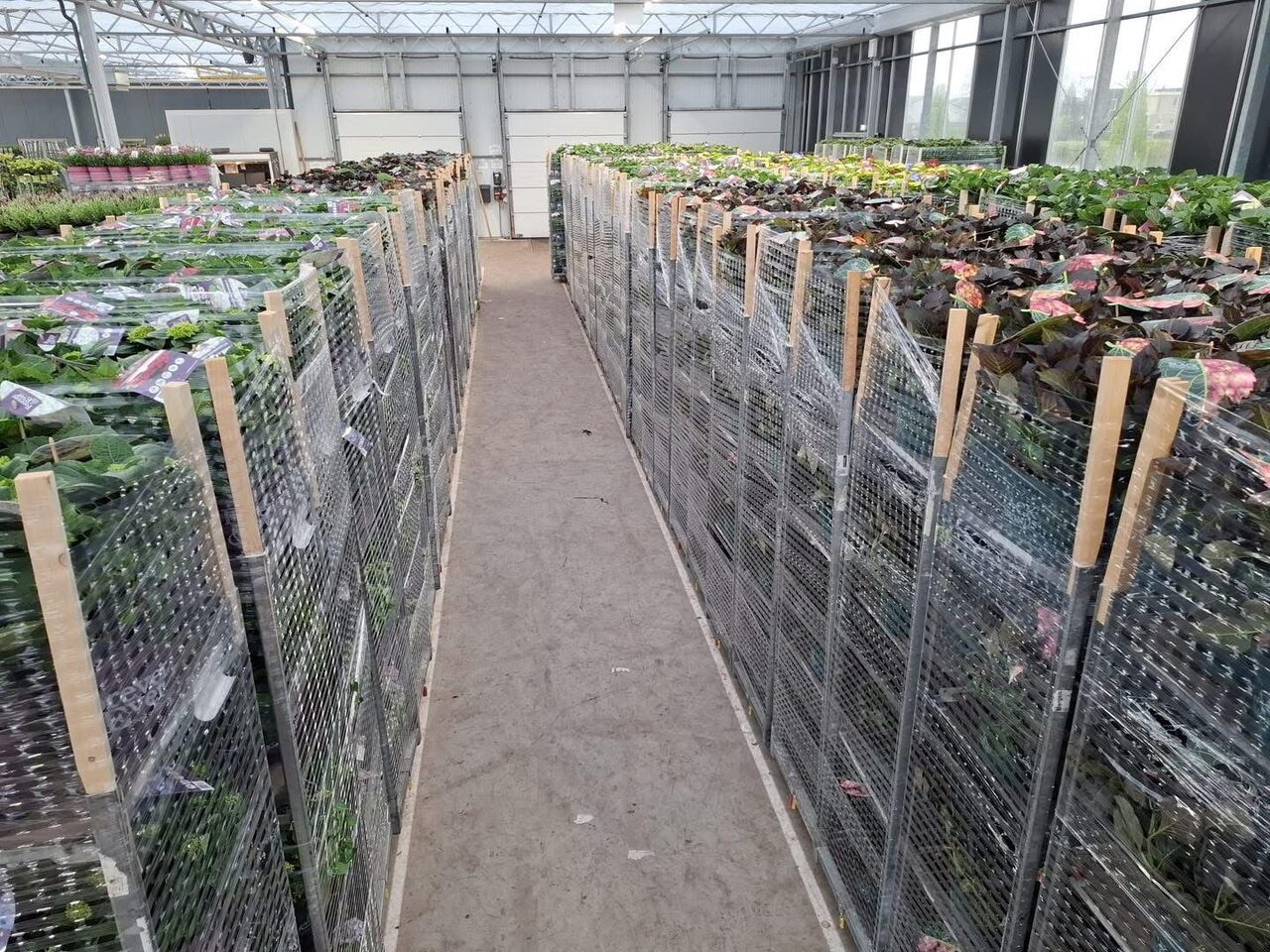 De week voor Pasen!