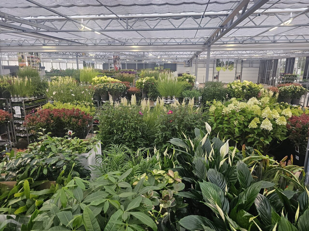De beursbestellingen staan klaar