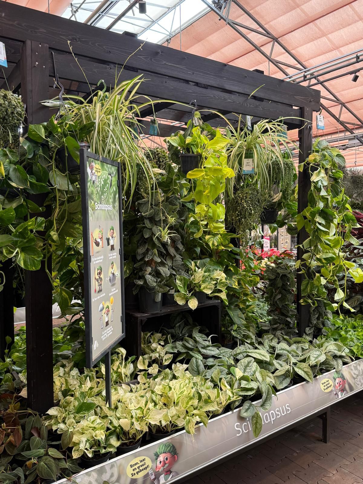 Groene metamorfose bij Tuinwereld Dordrecht