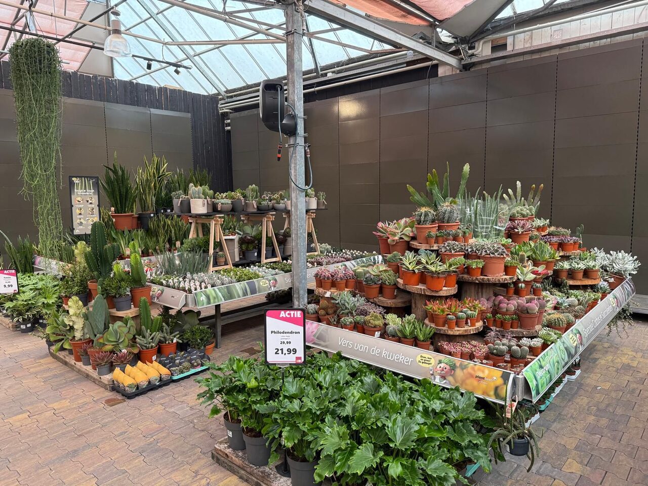 Groene metamorfose bij Tuinwereld Dordrecht