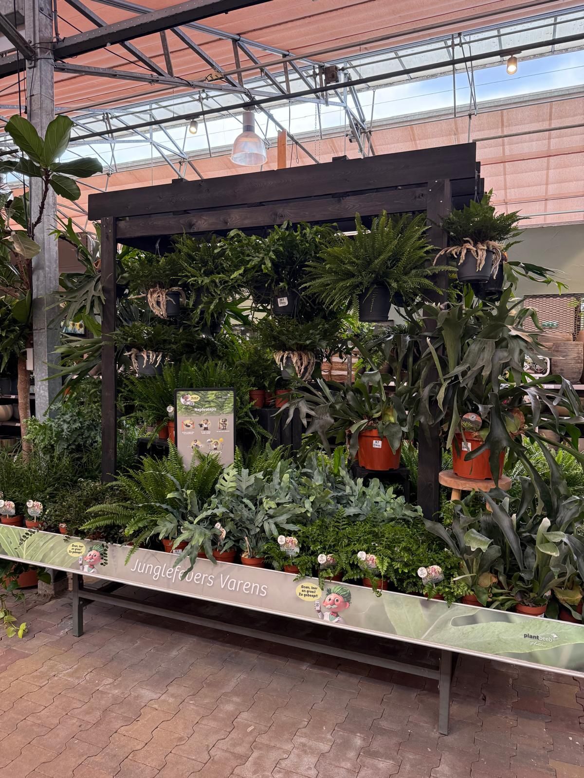 Groene metamorfose bij Tuinwereld Dordrecht