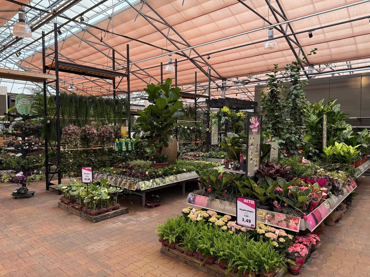 Groene metamorfose bij Tuinwereld Dordrecht