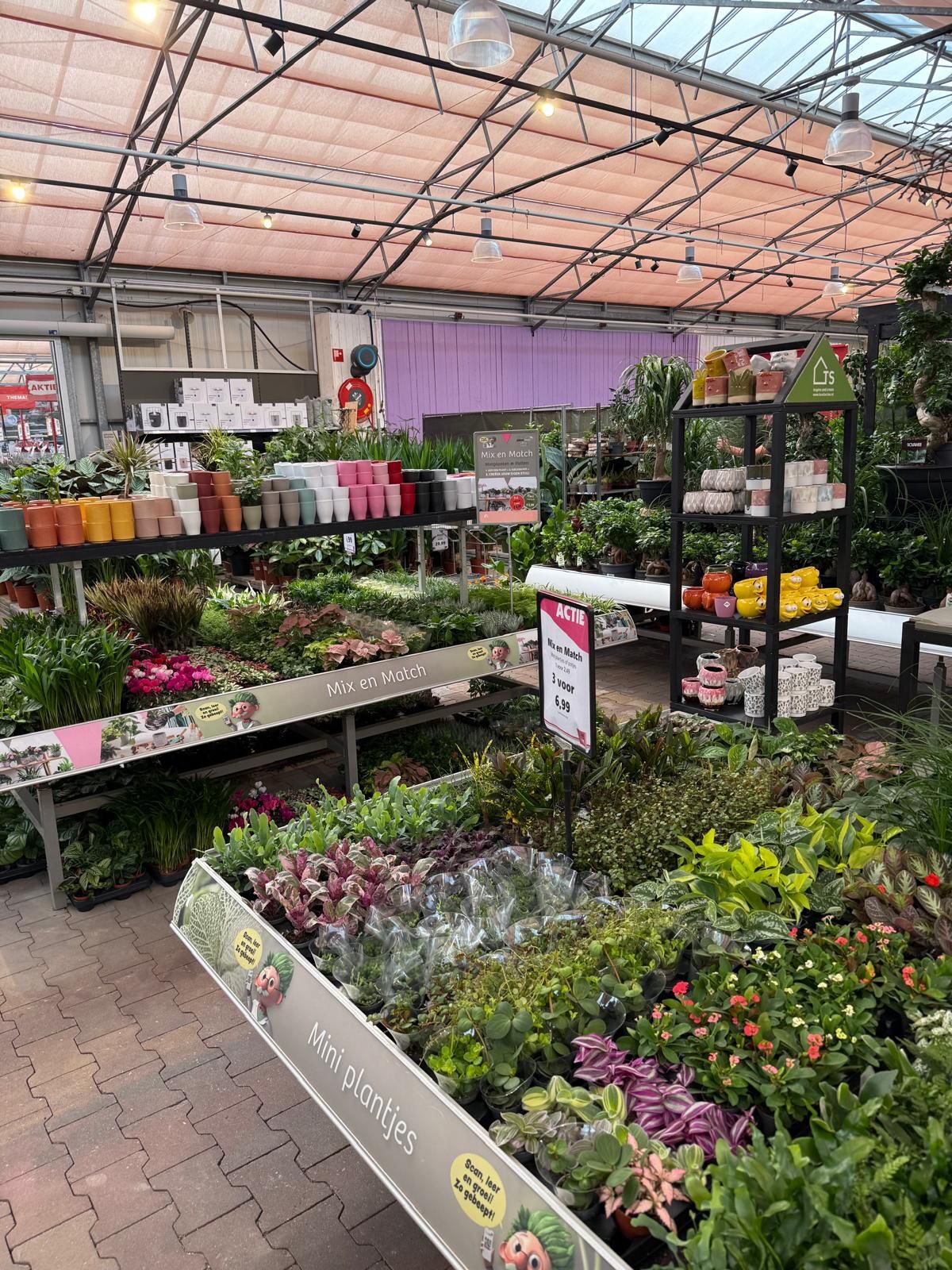Groene metamorfose bij Tuinwereld Dordrecht