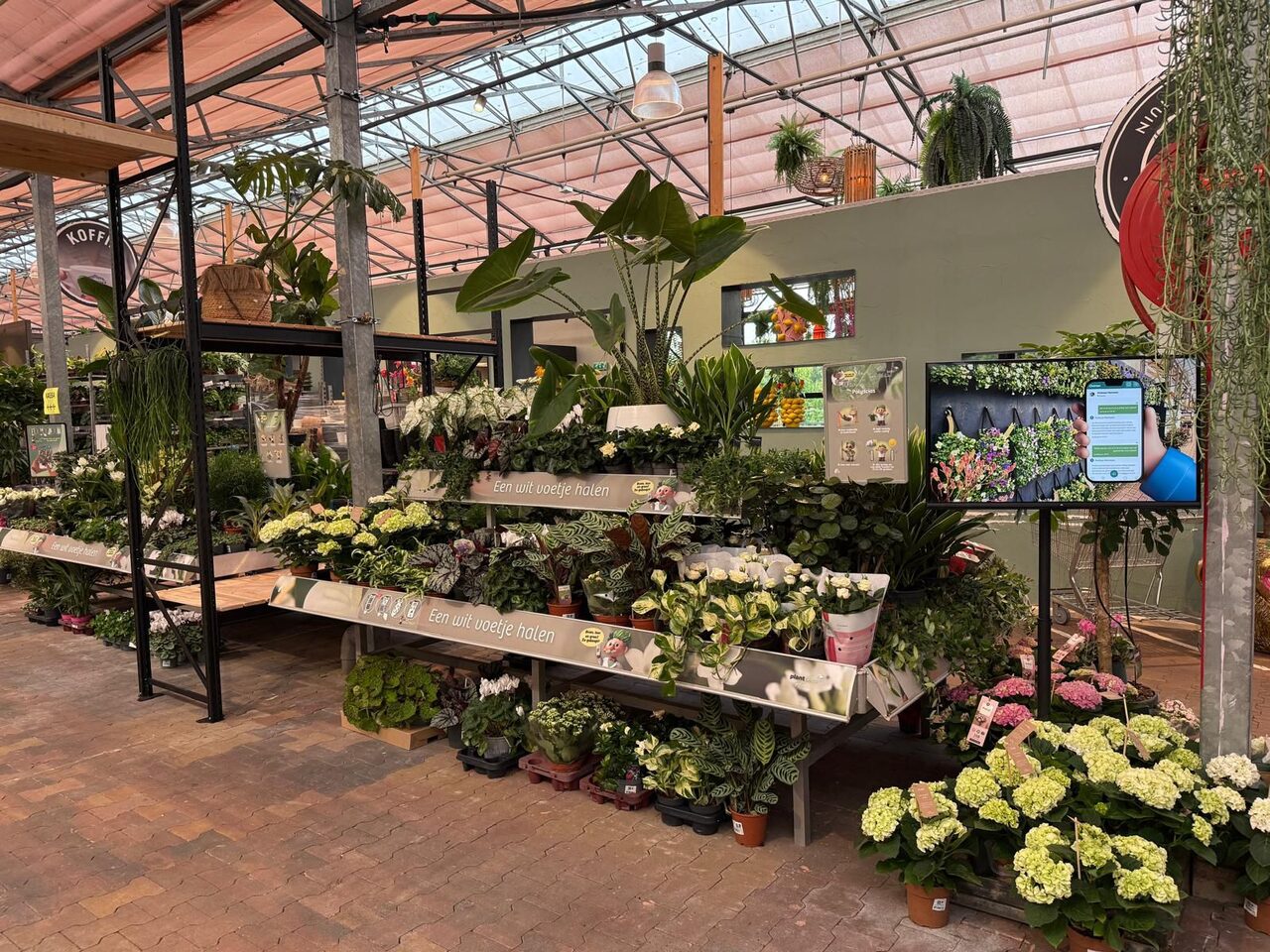 Groene metamorfose bij Tuinwereld Dordrecht