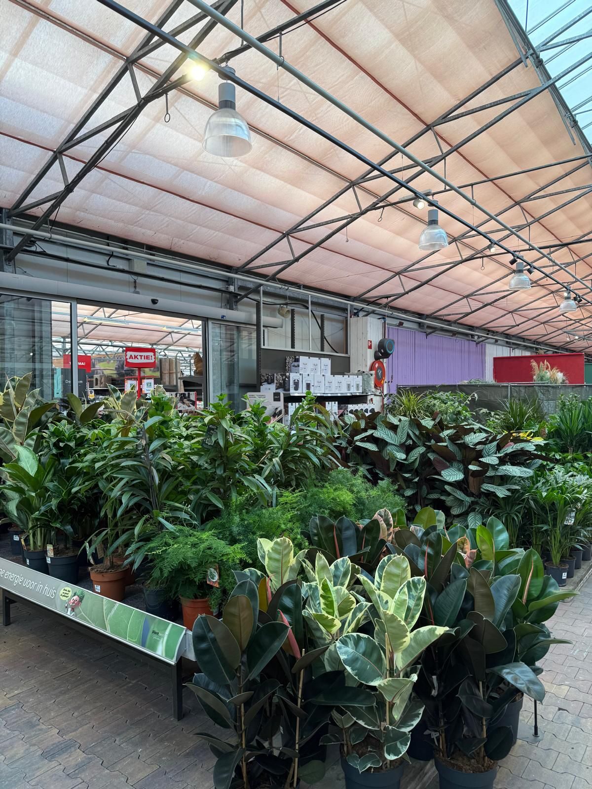 Groene metamorfose bij Tuinwereld Dordrecht