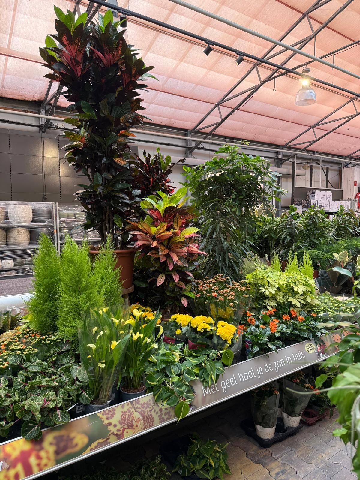 Groene metamorfose bij Tuinwereld Dordrecht