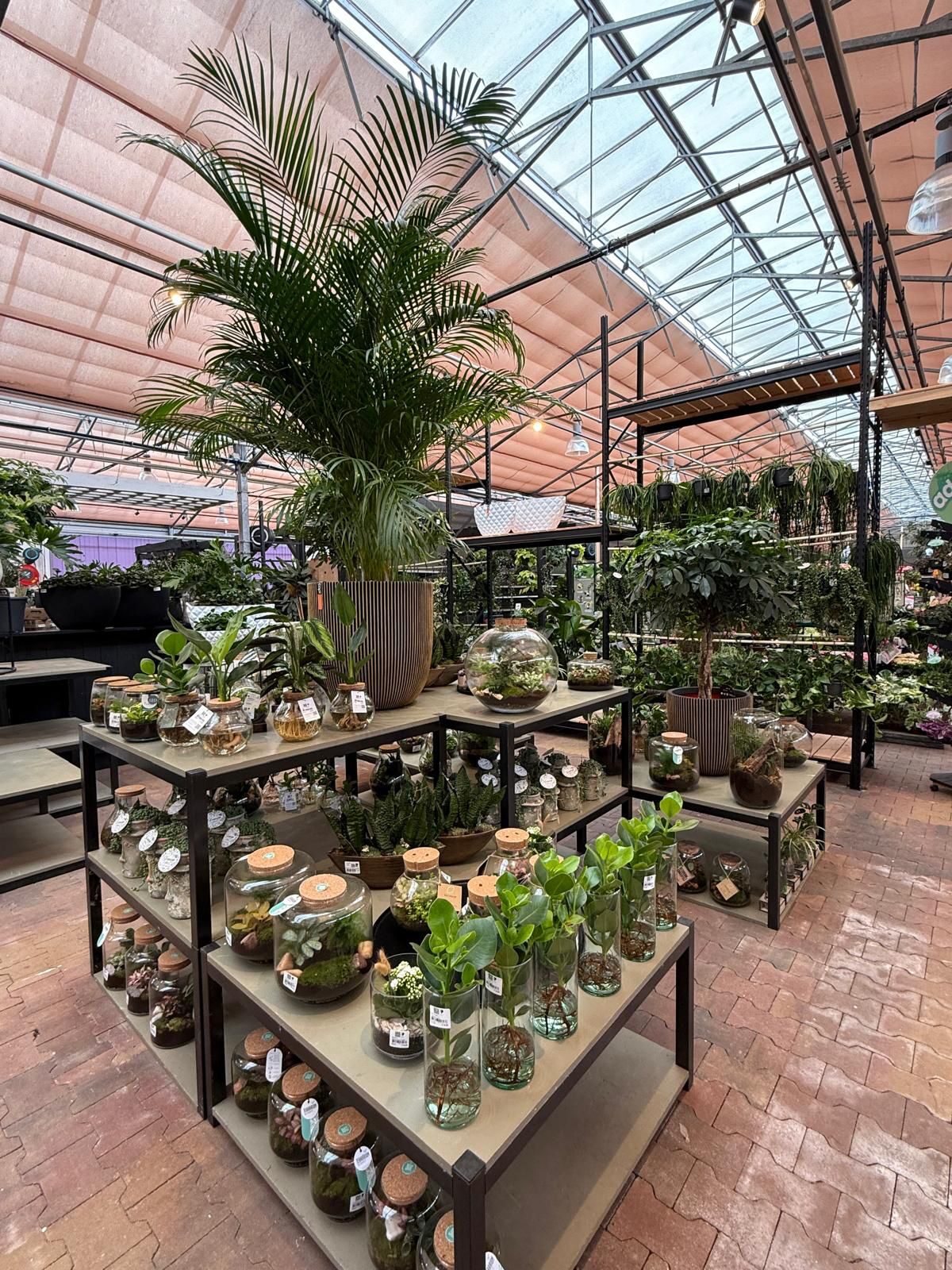 Groene metamorfose bij Tuinwereld Dordrecht