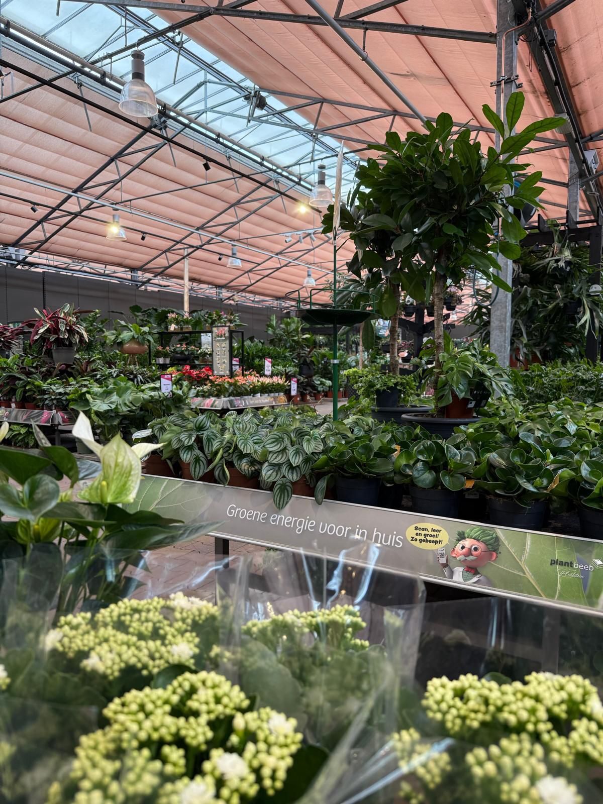Groene metamorfose bij Tuinwereld Dordrecht