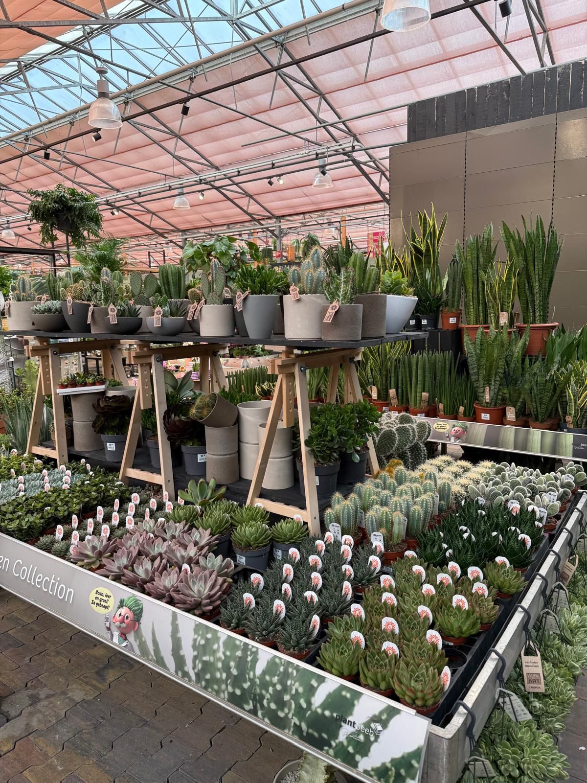 Groene metamorfose bij Tuinwereld Dordrecht