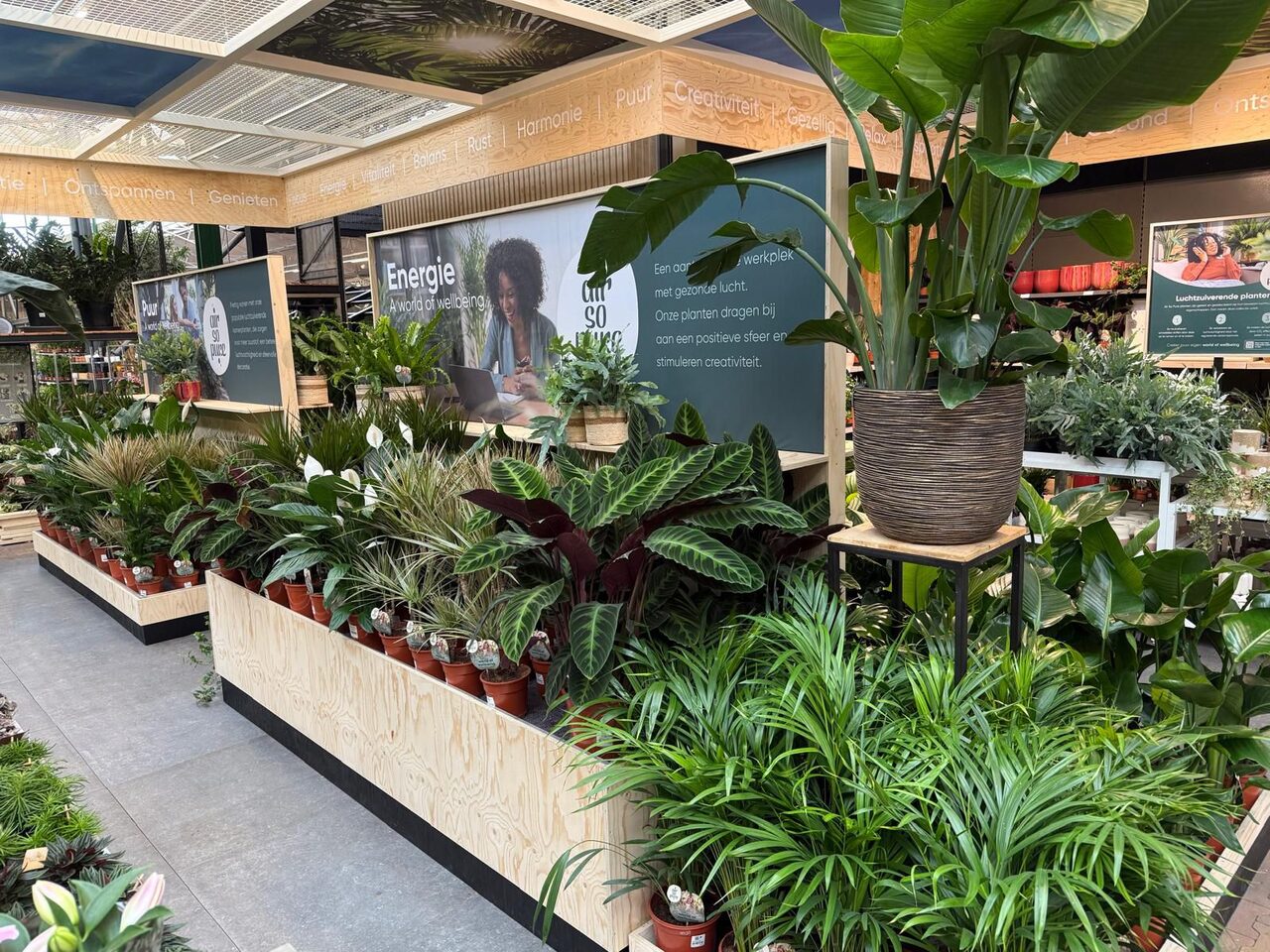Nieuw verkoopconcept bij Tuincentrum Leurs