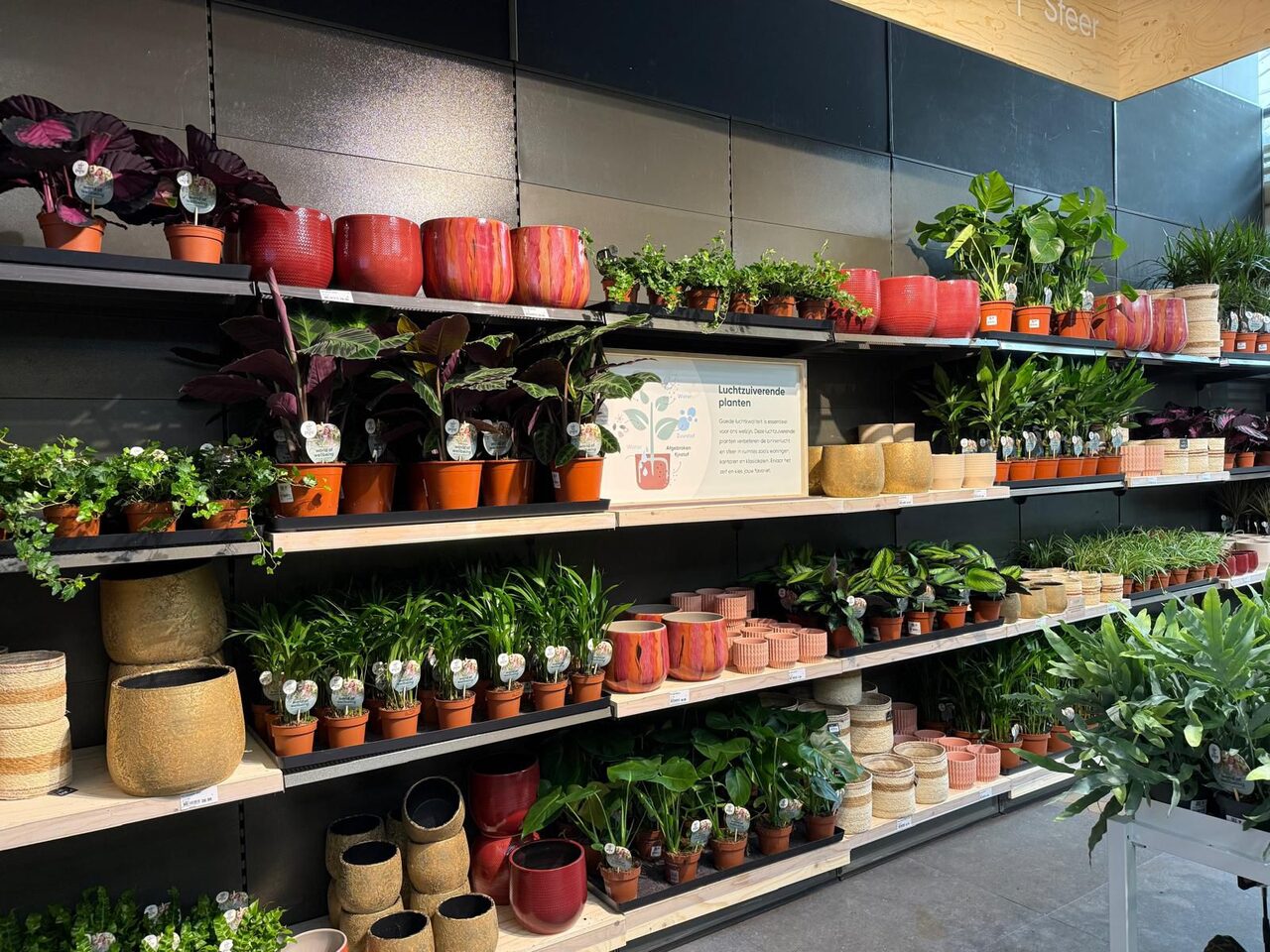 Nieuw verkoopconcept bij Tuincentrum Leurs