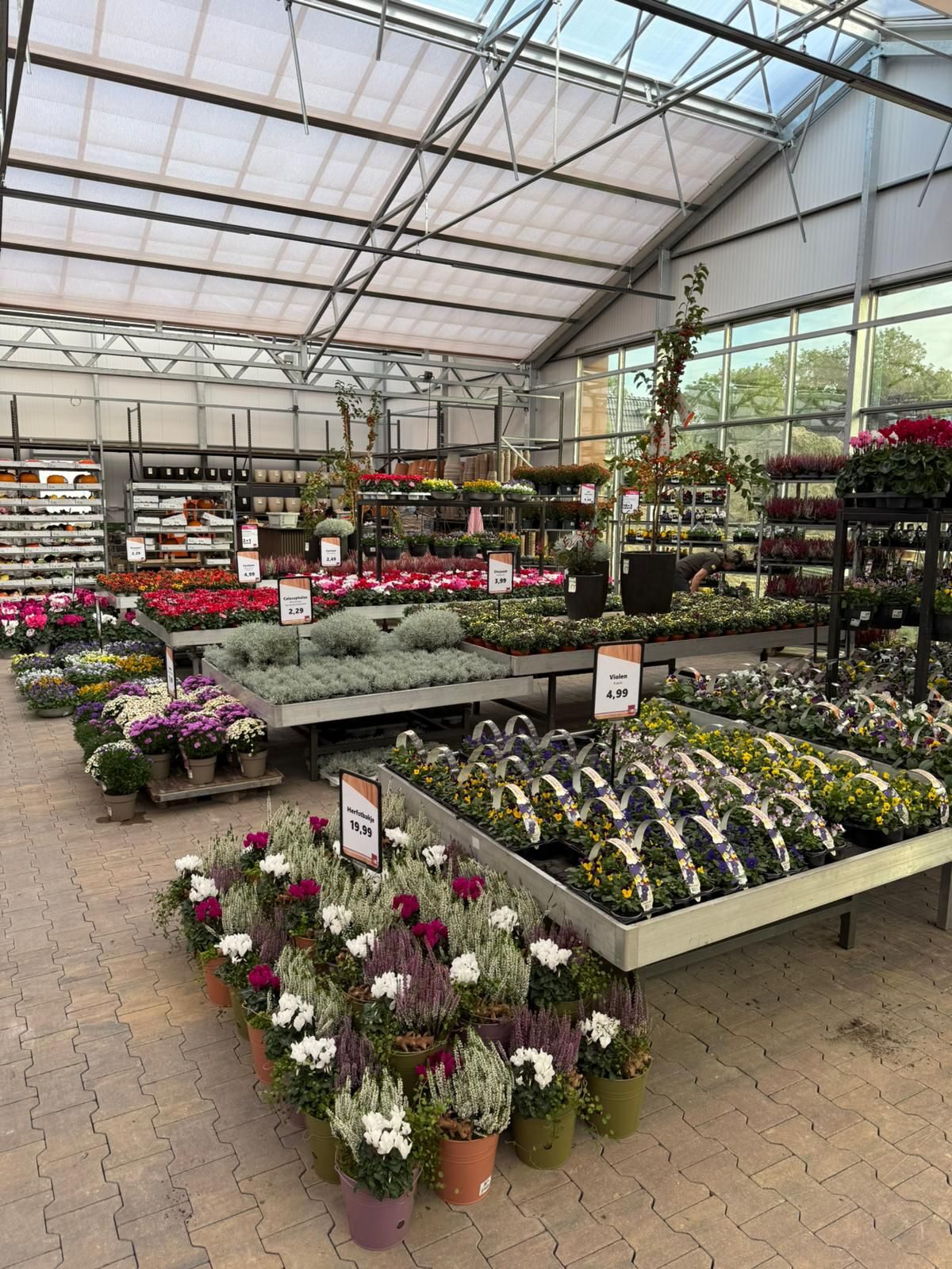 Herinrichting koude kas bij Tuinwereld Dordrecht
