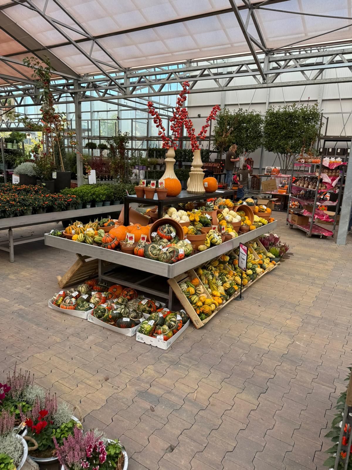 Herinrichting koude kas bij Tuinwereld Dordrecht
