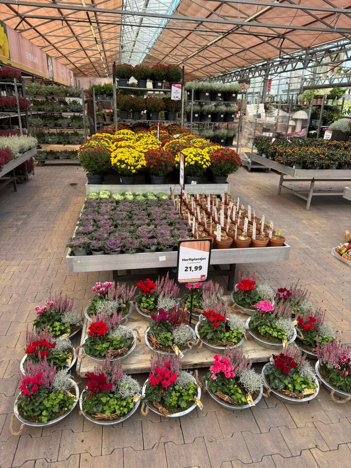 Herinrichting koude kas bij Tuinwereld Dordrecht