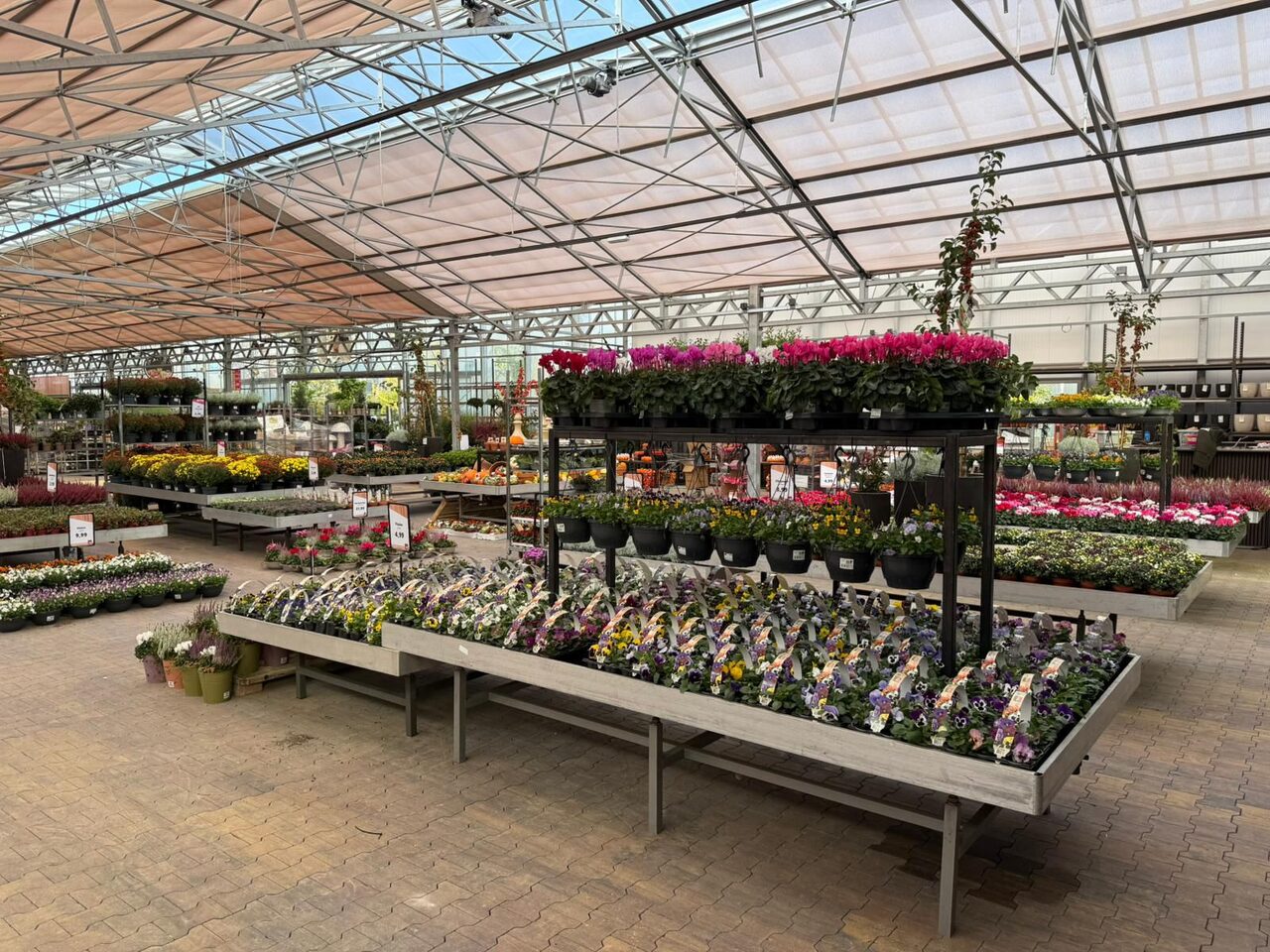 Herinrichting koude kas bij Tuinwereld Dordrecht
