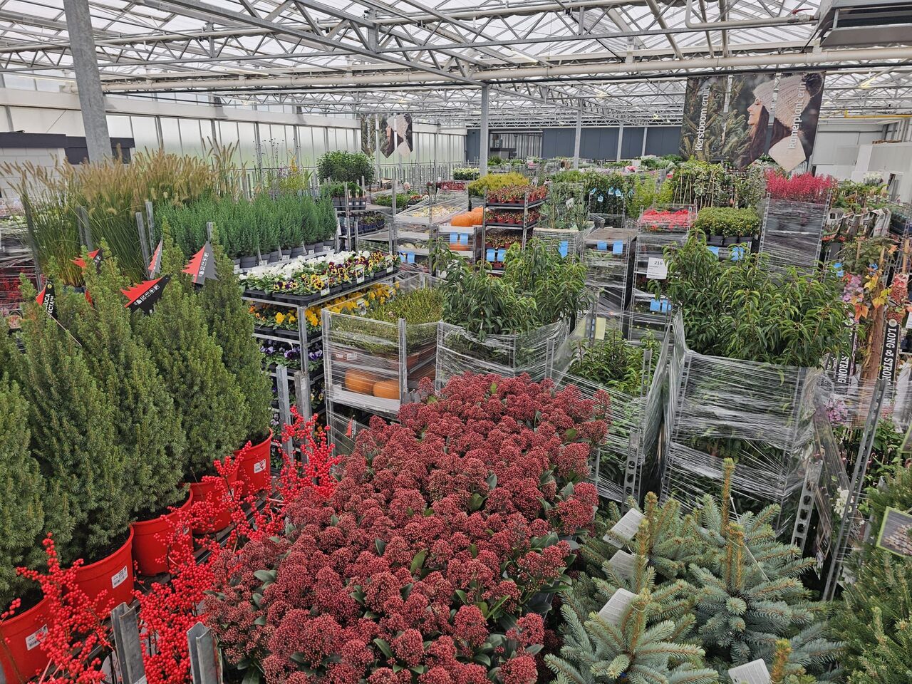 De daghandel in tuin- en kamerplanten blijft volop in beweging!