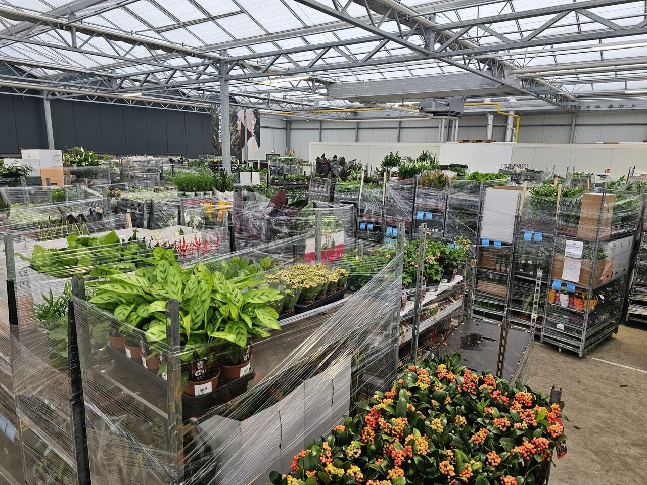 De daghandel in tuin- en kamerplanten blijft volop in beweging!