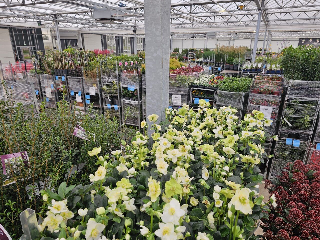 De daghandel in tuin- en kamerplanten blijft volop in beweging!