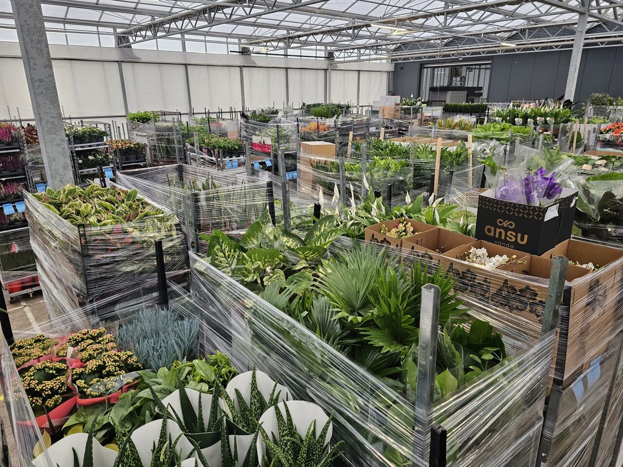 De daghandel in tuin- en kamerplanten blijft volop in beweging!