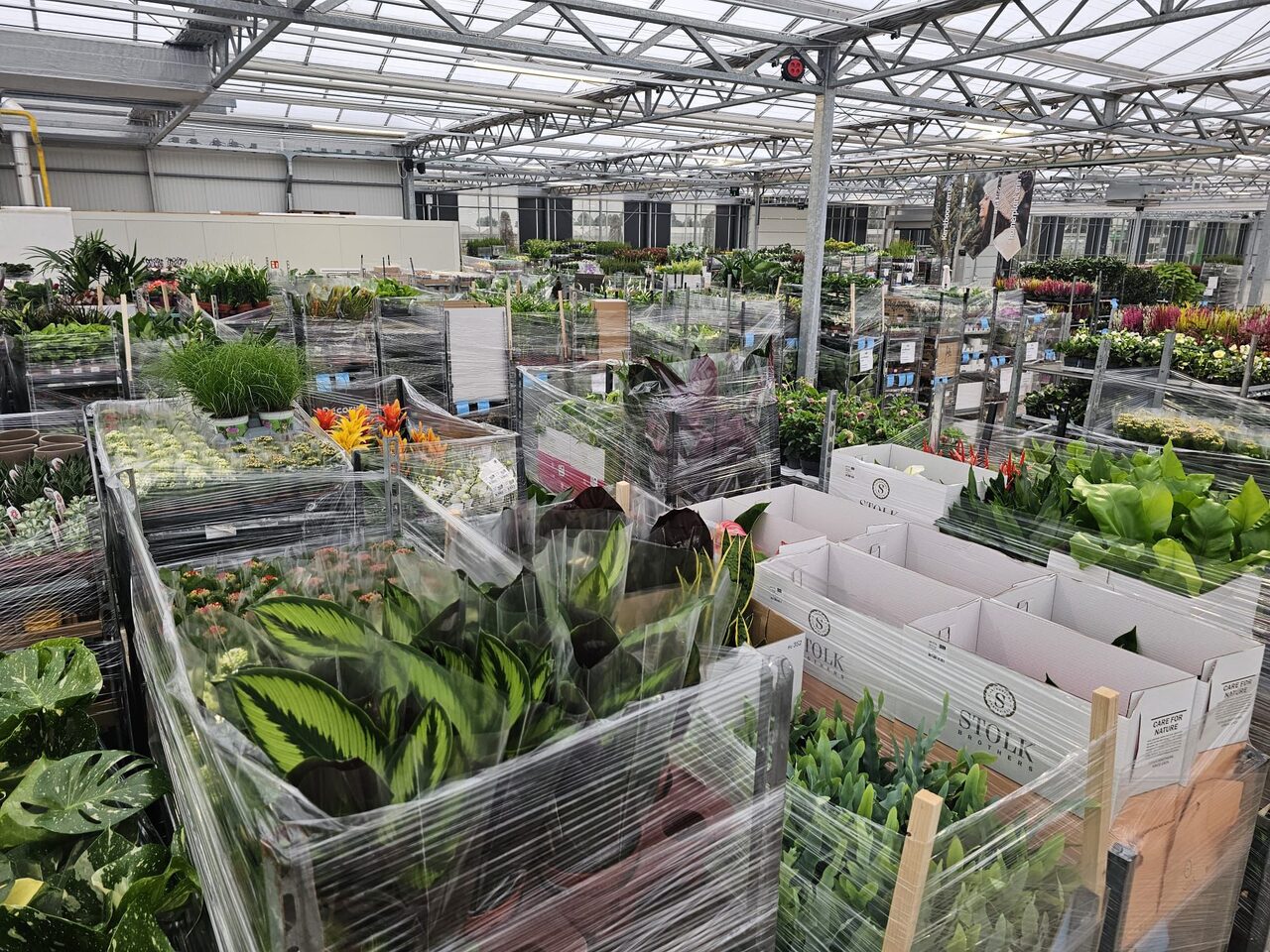 De daghandel in tuin- en kamerplanten blijft volop in beweging!