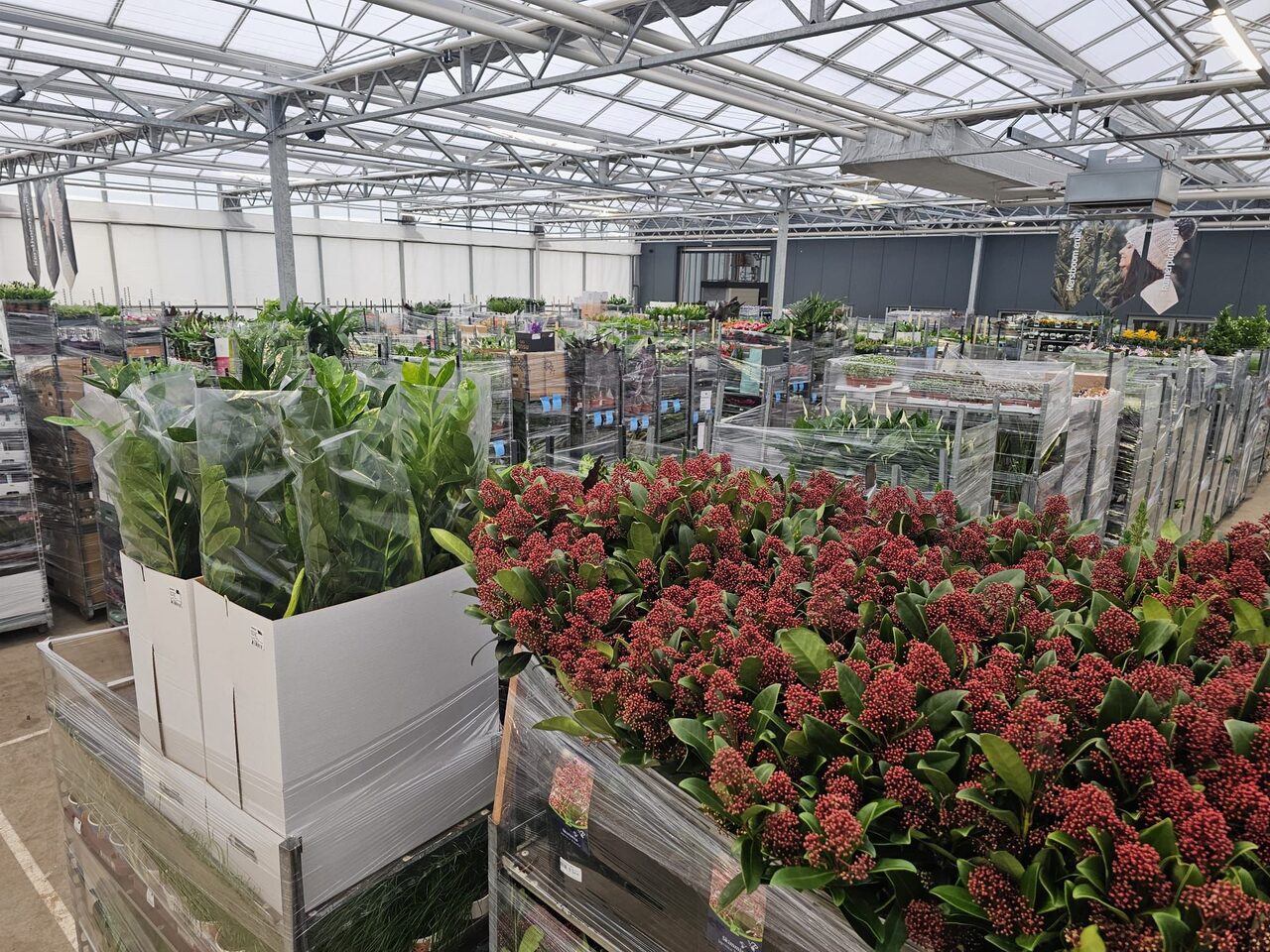 De daghandel in tuin- en kamerplanten blijft volop in beweging!