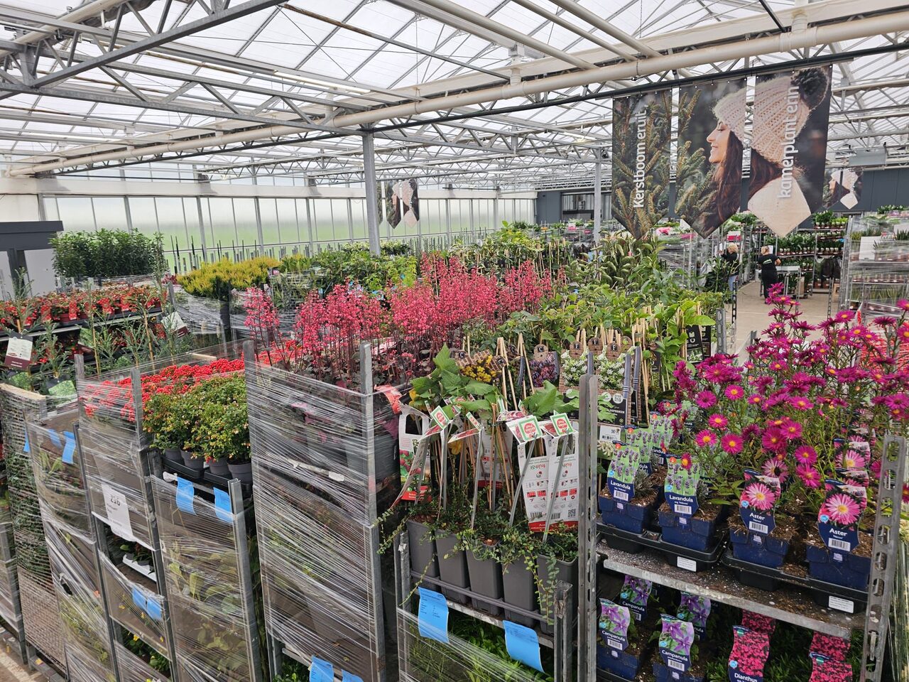 De daghandel in tuin- en kamerplanten blijft volop in beweging!