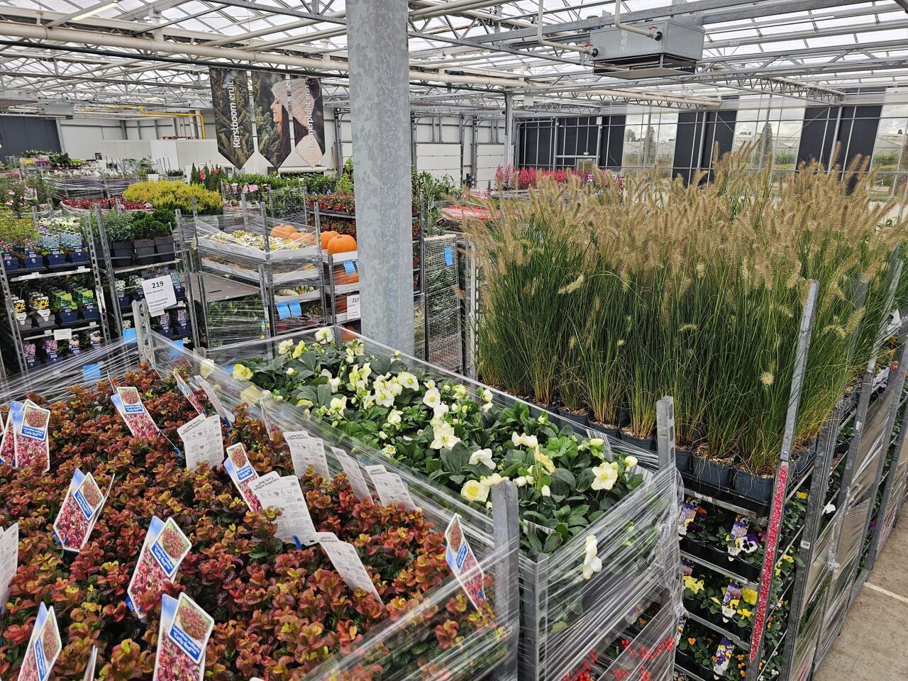 De daghandel in tuin- en kamerplanten blijft volop in beweging!