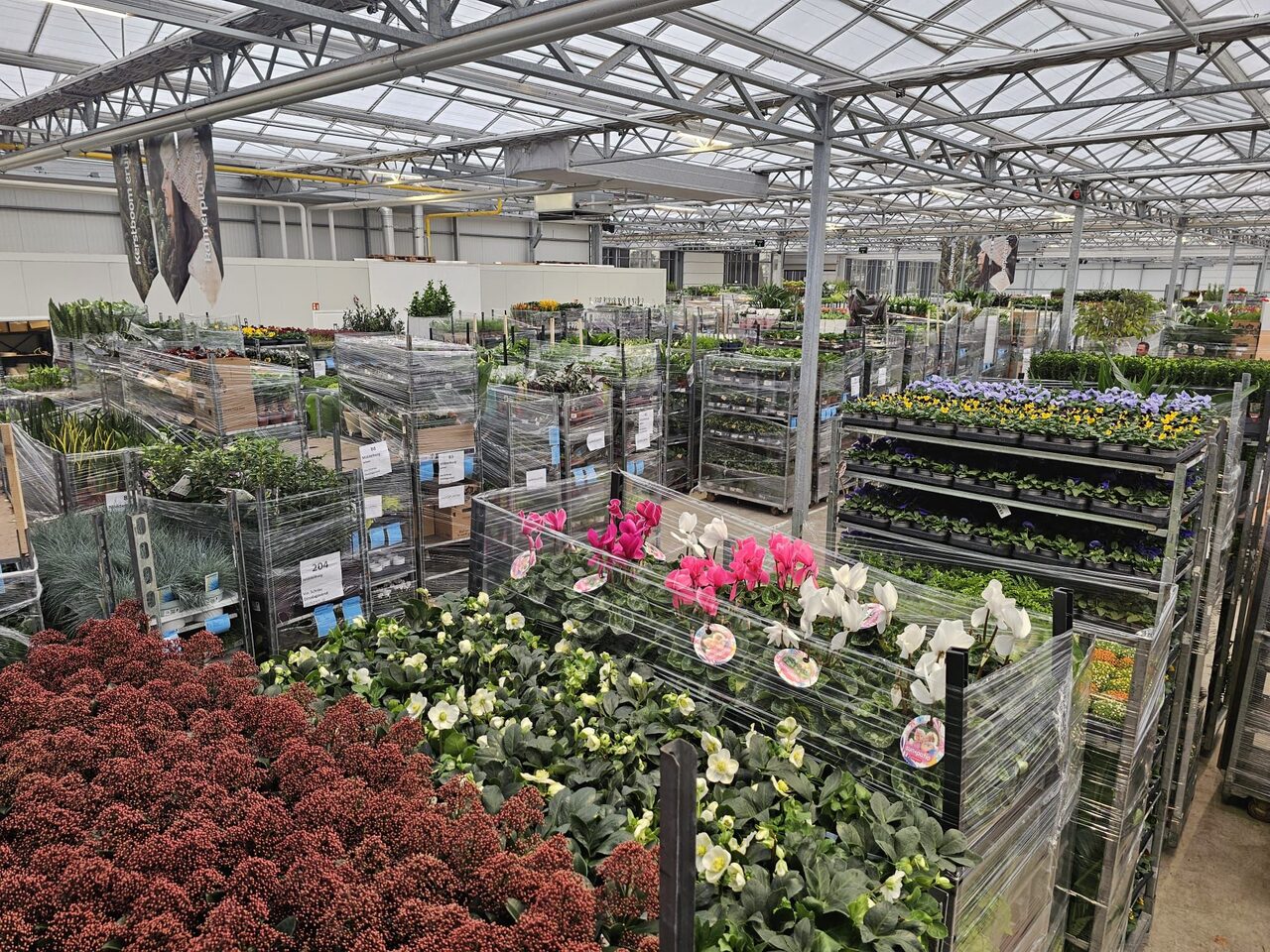 De daghandel in tuin- en kamerplanten blijft volop in beweging!