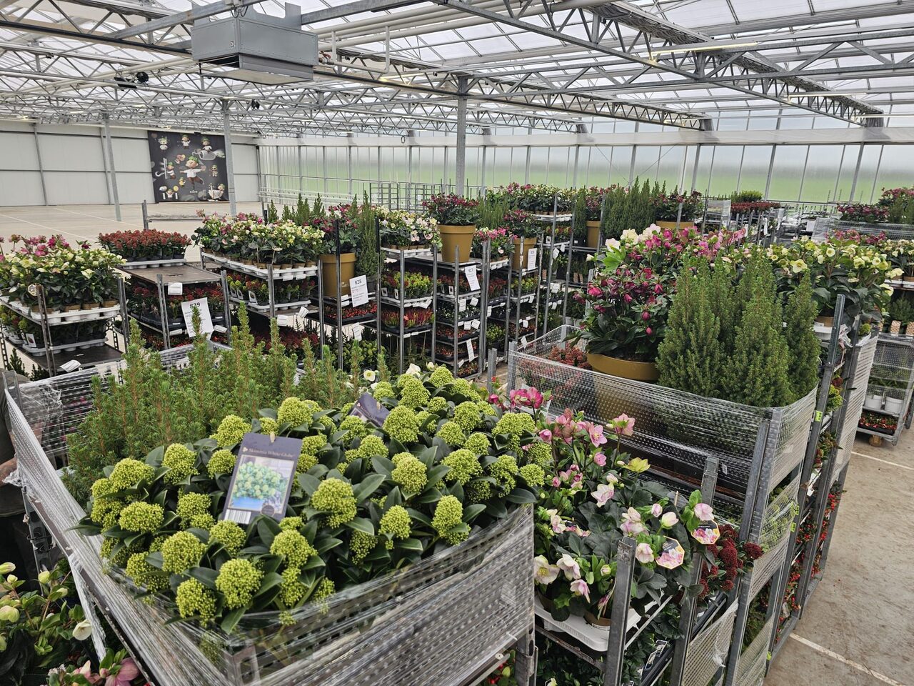 De daghandel in tuin- en kamerplanten blijft volop in beweging!