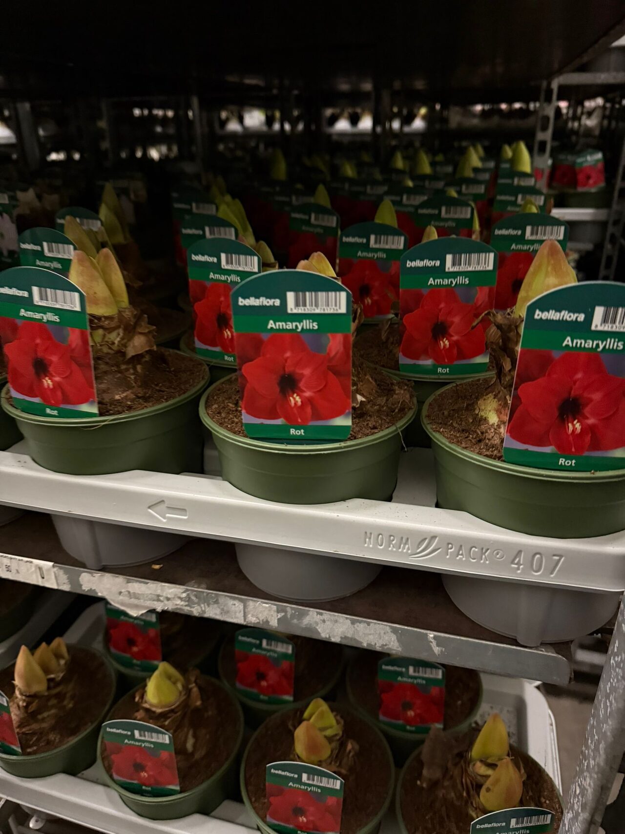 Op bezoek bij Jansen’s Overseas