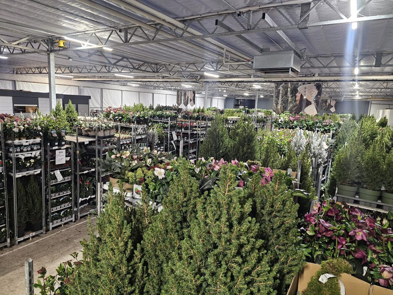 De kerstperiode komt tot leven