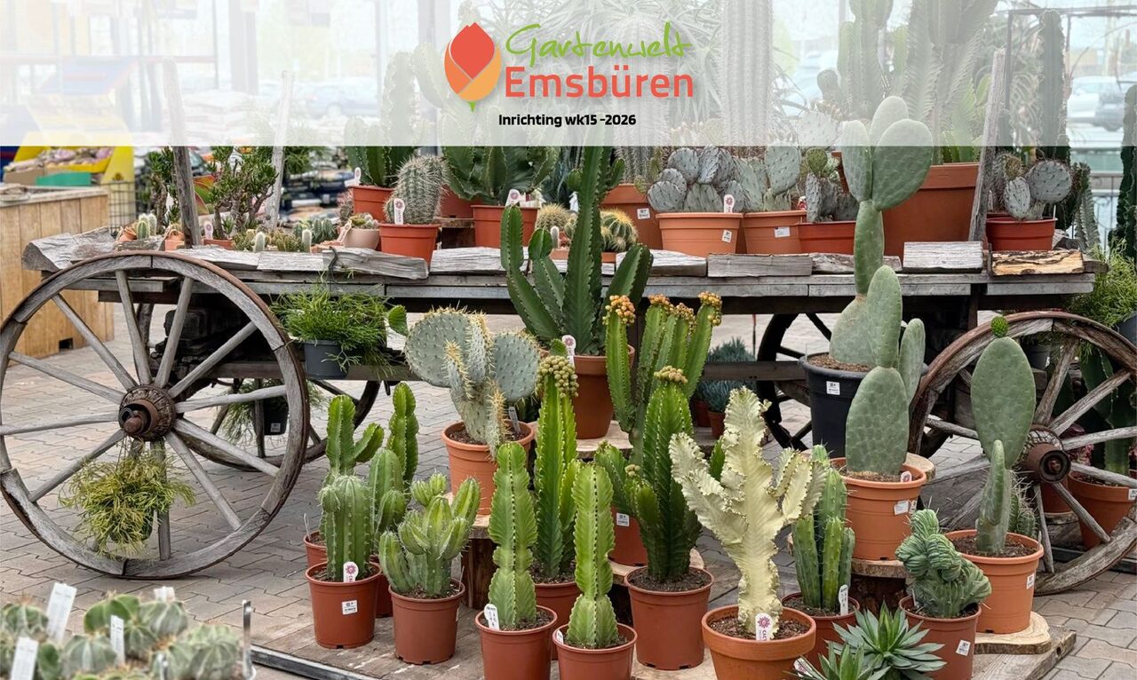 Nieuwe kamerplantenafdeling bij Gartenwelt Emsbüren