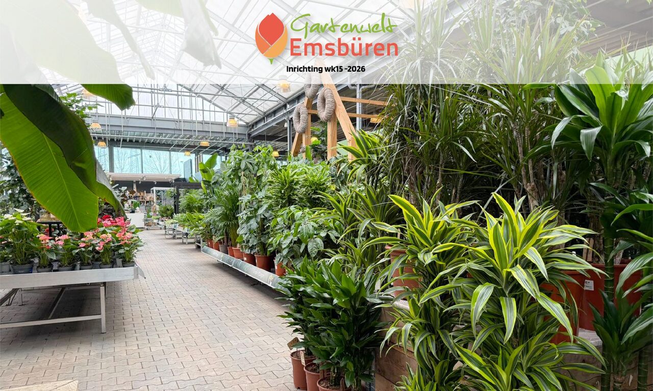 Nieuwe kamerplantenafdeling bij Gartenwelt Emsbüren