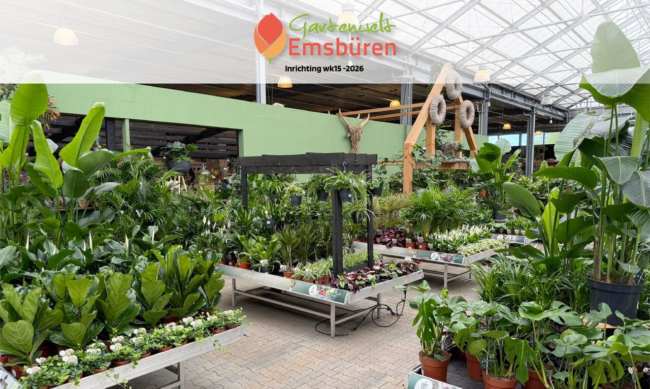 Nieuwe kamerplantenafdeling bij Gartenwelt Emsbüren