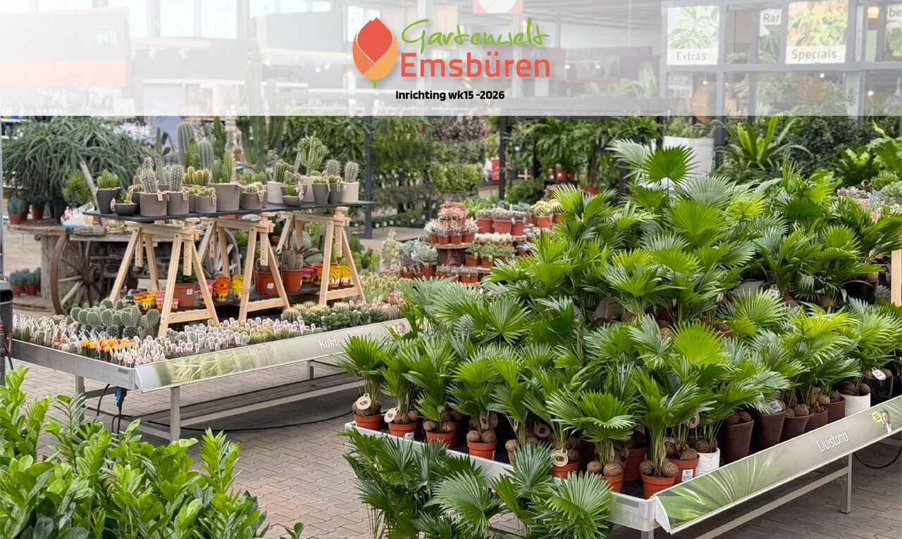 Nieuwe kamerplantenafdeling bij Gartenwelt Emsbüren