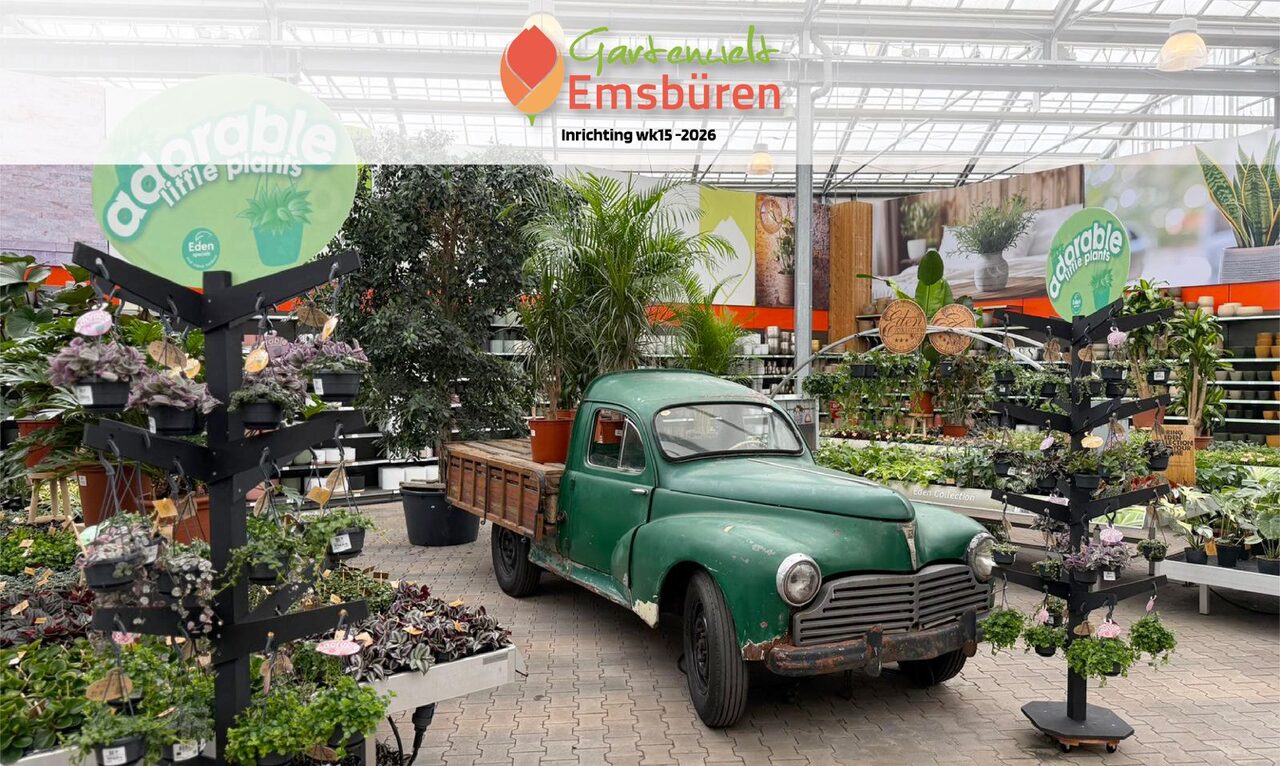 Nieuwe kamerplantenafdeling bij Gartenwelt Emsbüren