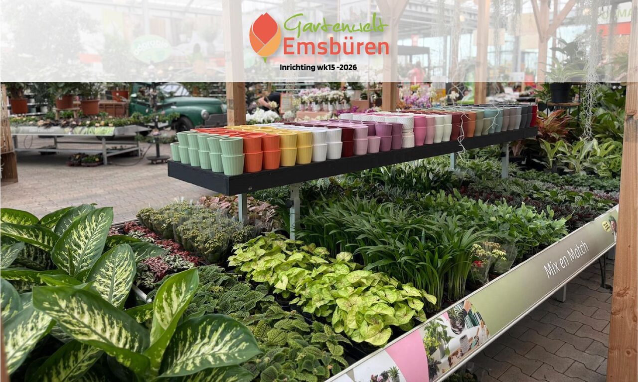 Nieuwe kamerplantenafdeling bij Gartenwelt Emsbüren
