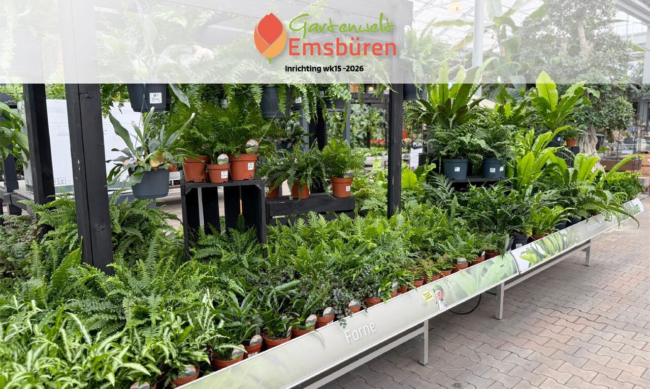 Nieuwe kamerplantenafdeling bij Gartenwelt Emsbüren
