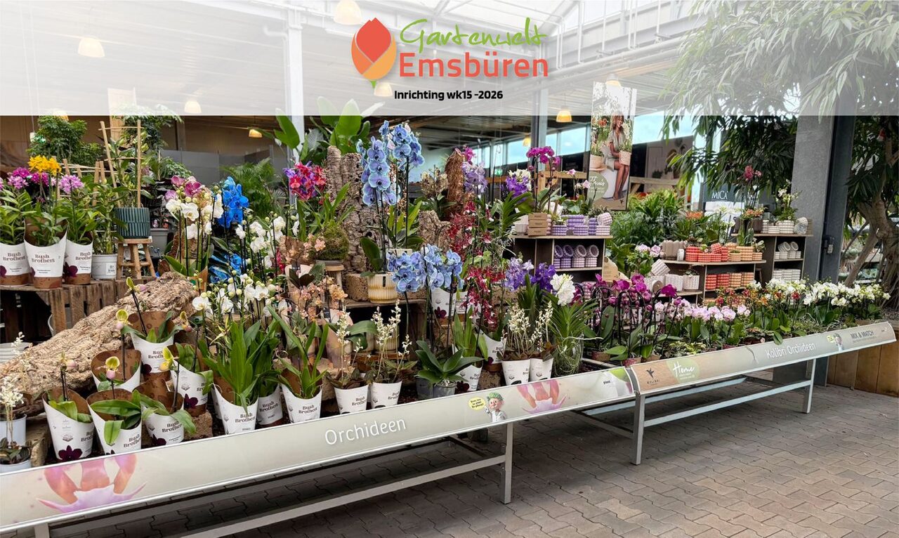 Nieuwe kamerplantenafdeling bij Gartenwelt Emsbüren