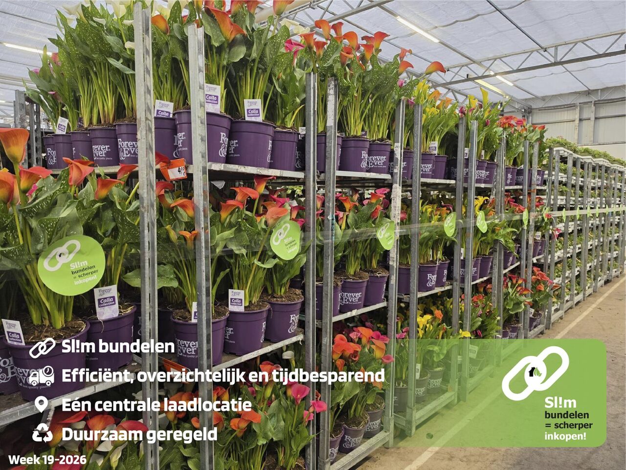 Sl!m bundelen in de Moederdagweek