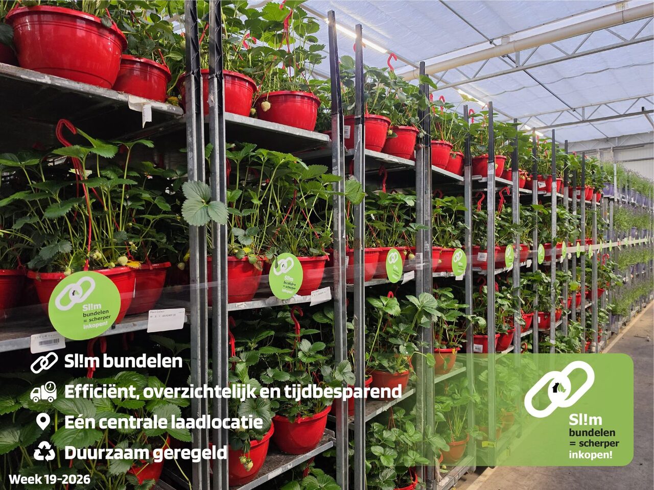 Sl!m bundelen in de Moederdagweek
