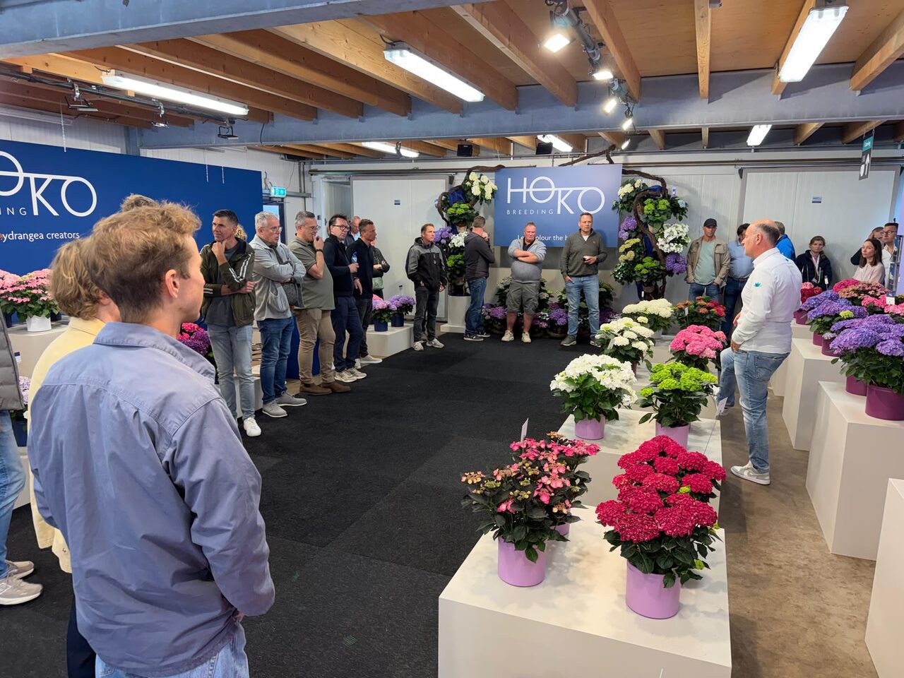 Vandaag was het zover: de Flower Trials met Plant Collect!