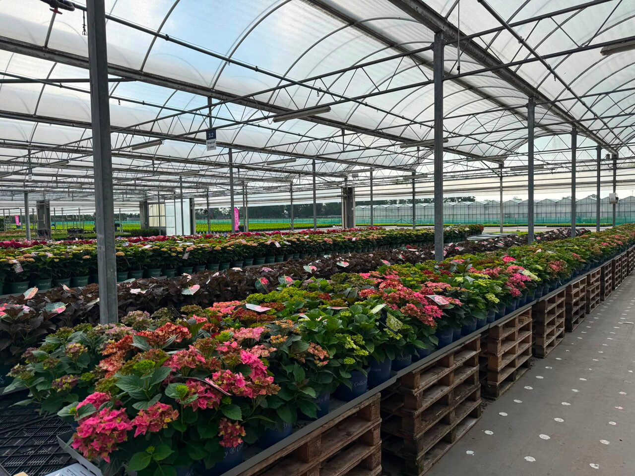 Vandaag was het zover: de Flower Trials met Plant Collect!