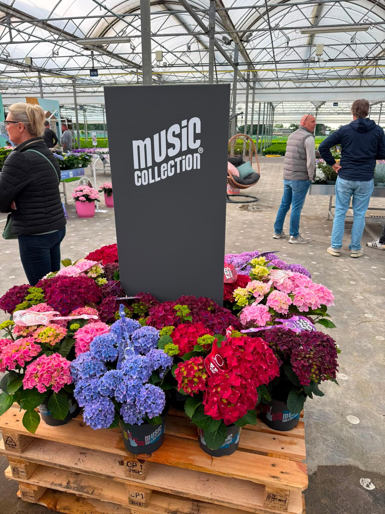 Vandaag was het zover: de Flower Trials met Plant Collect!