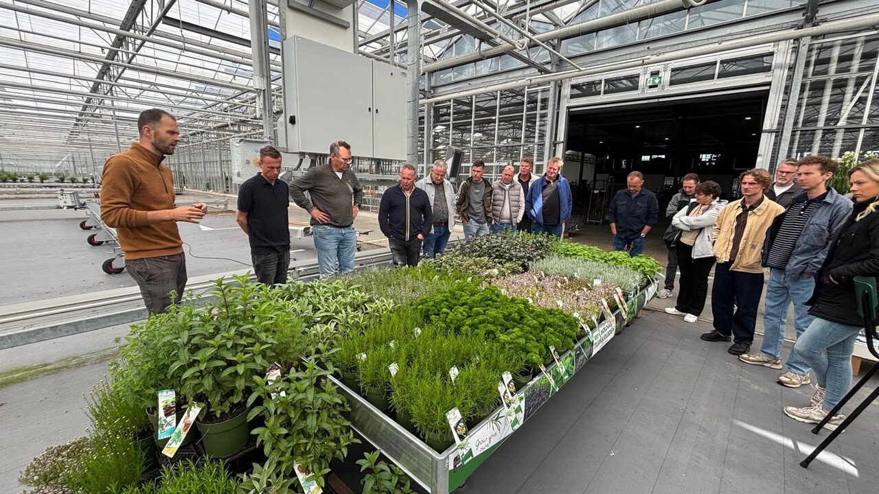 Vandaag was het zover: de Flower Trials met Plant Collect!