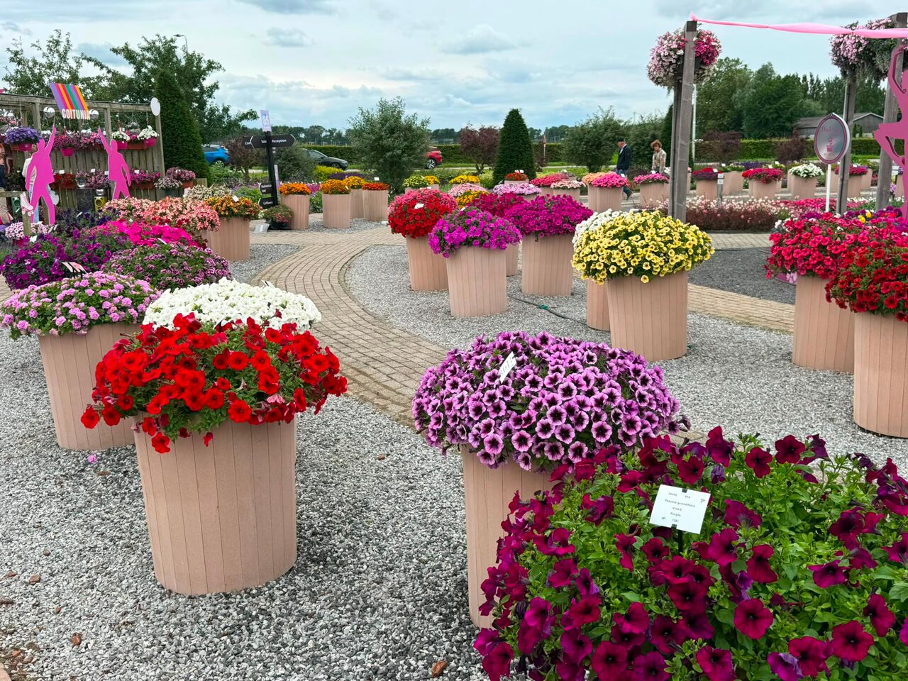 Flower Trials