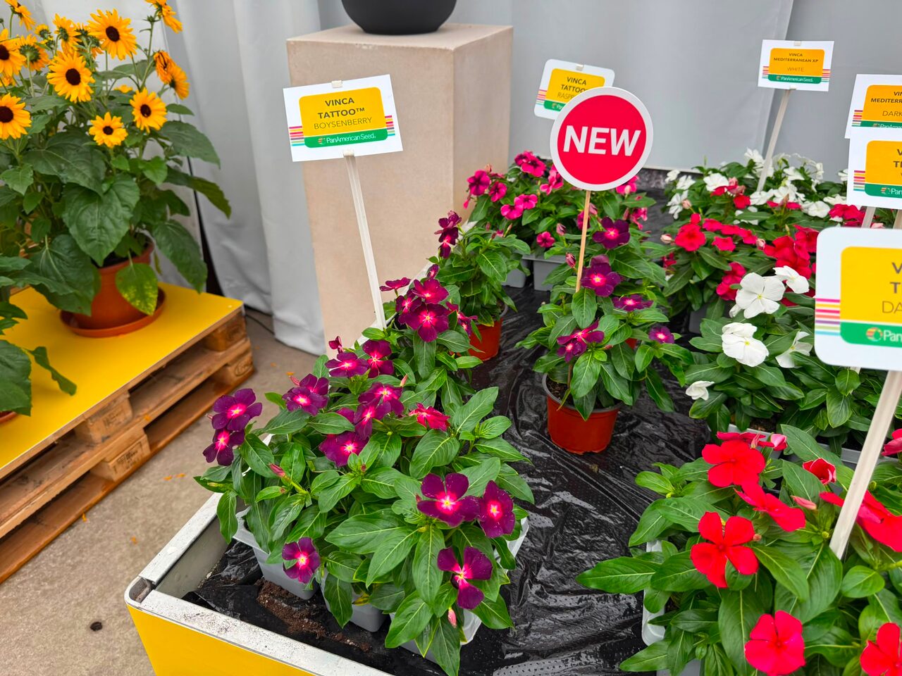 Flower Trials