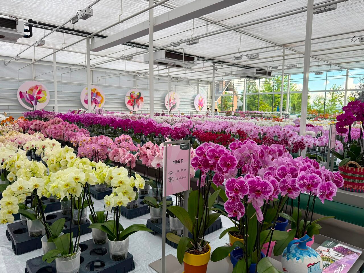 Flower Trials