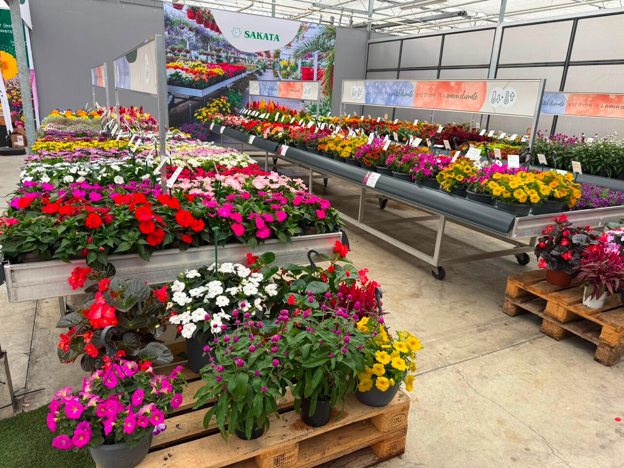 Flower Trials